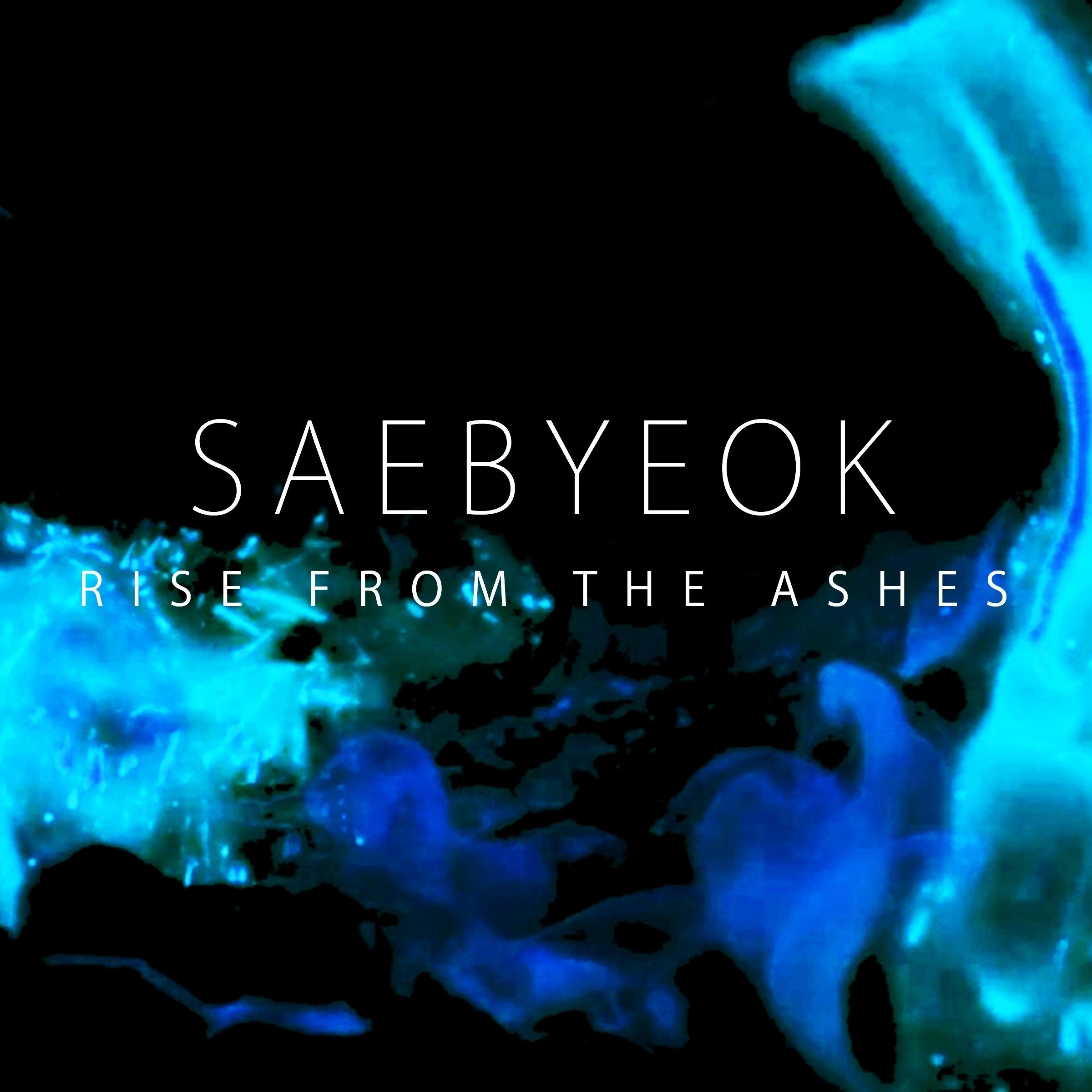 Rise From The Ashes