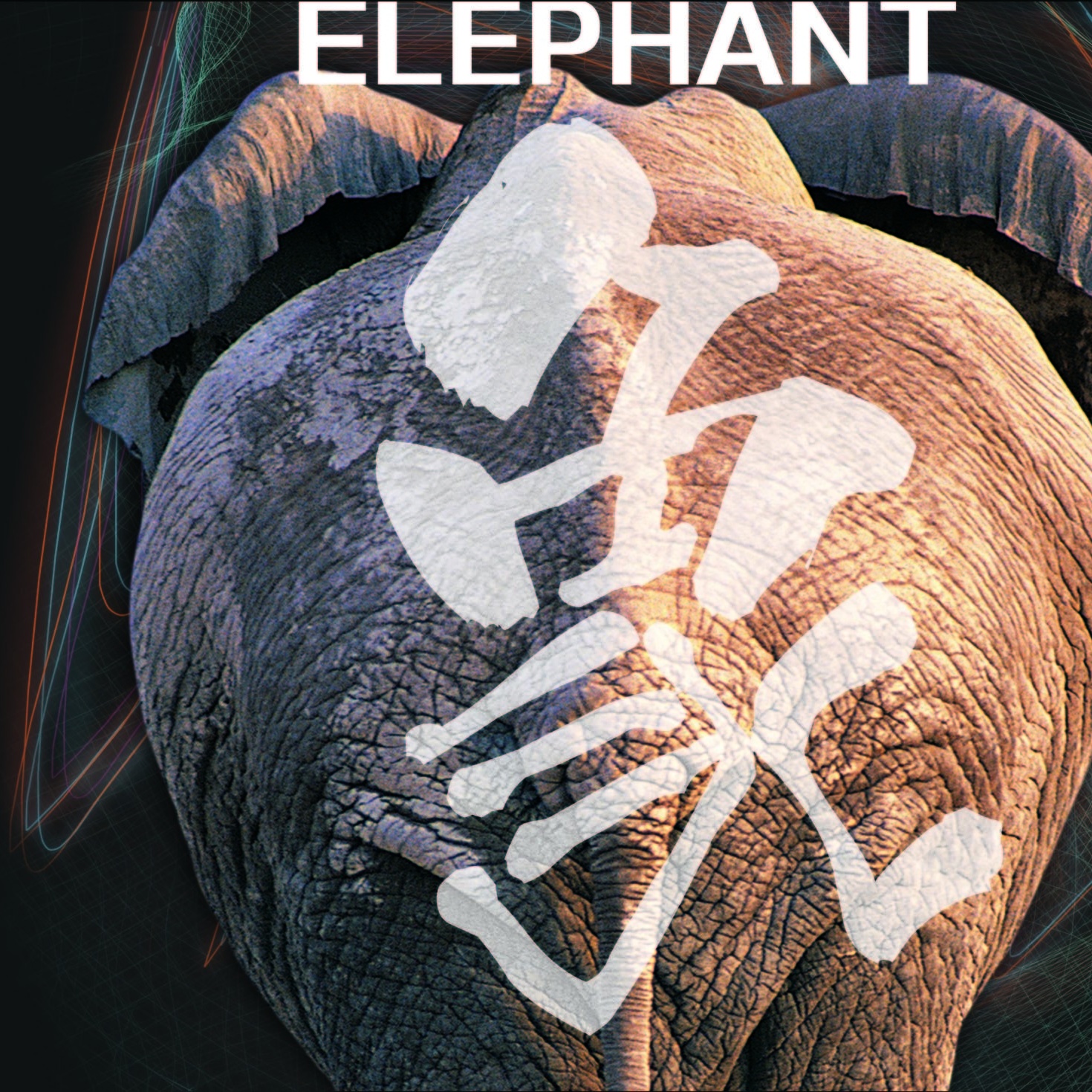 darkness of the light