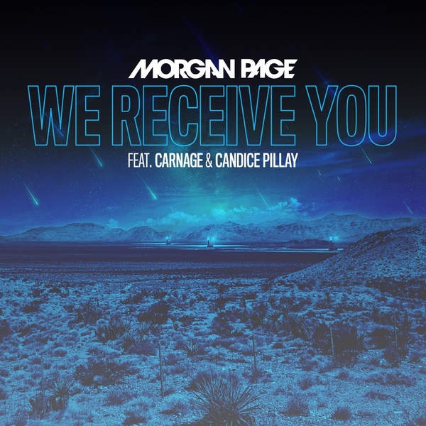We Receive You (feat. Carnage and Candice Pillay)