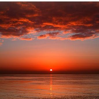 Syntheticsax&Supacooks - The One