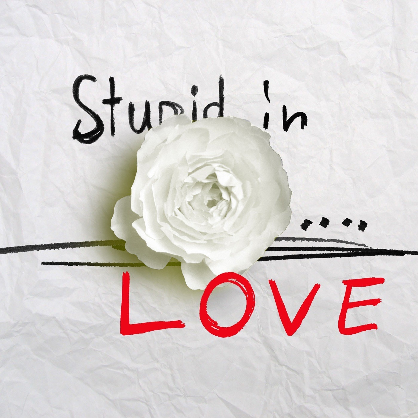 Stupid In Love