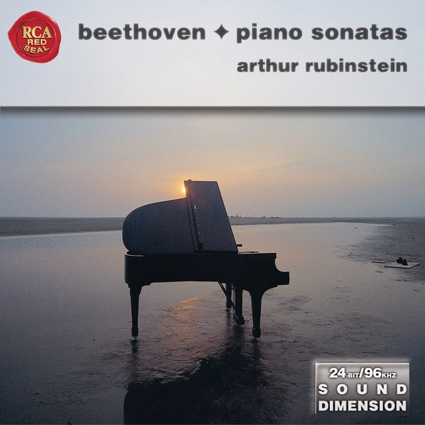 Sonata No. 8 in C Minor, Op. 13 " Pathe tique": Grave Allegro molto e con brio