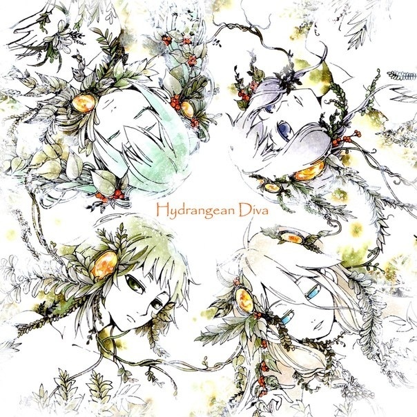 Hydrangean Diva