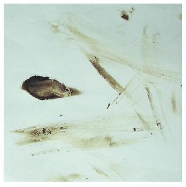 fa guo ren yu fang dong tai tai