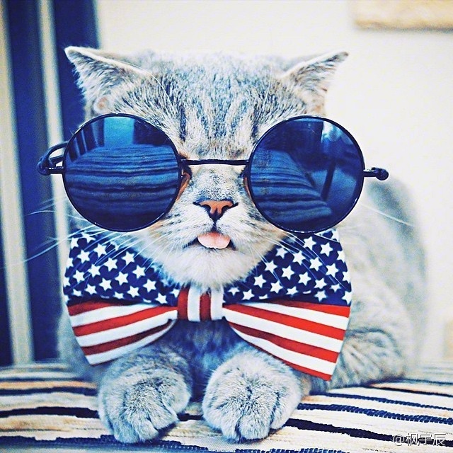 chao pai hun da Mash Up