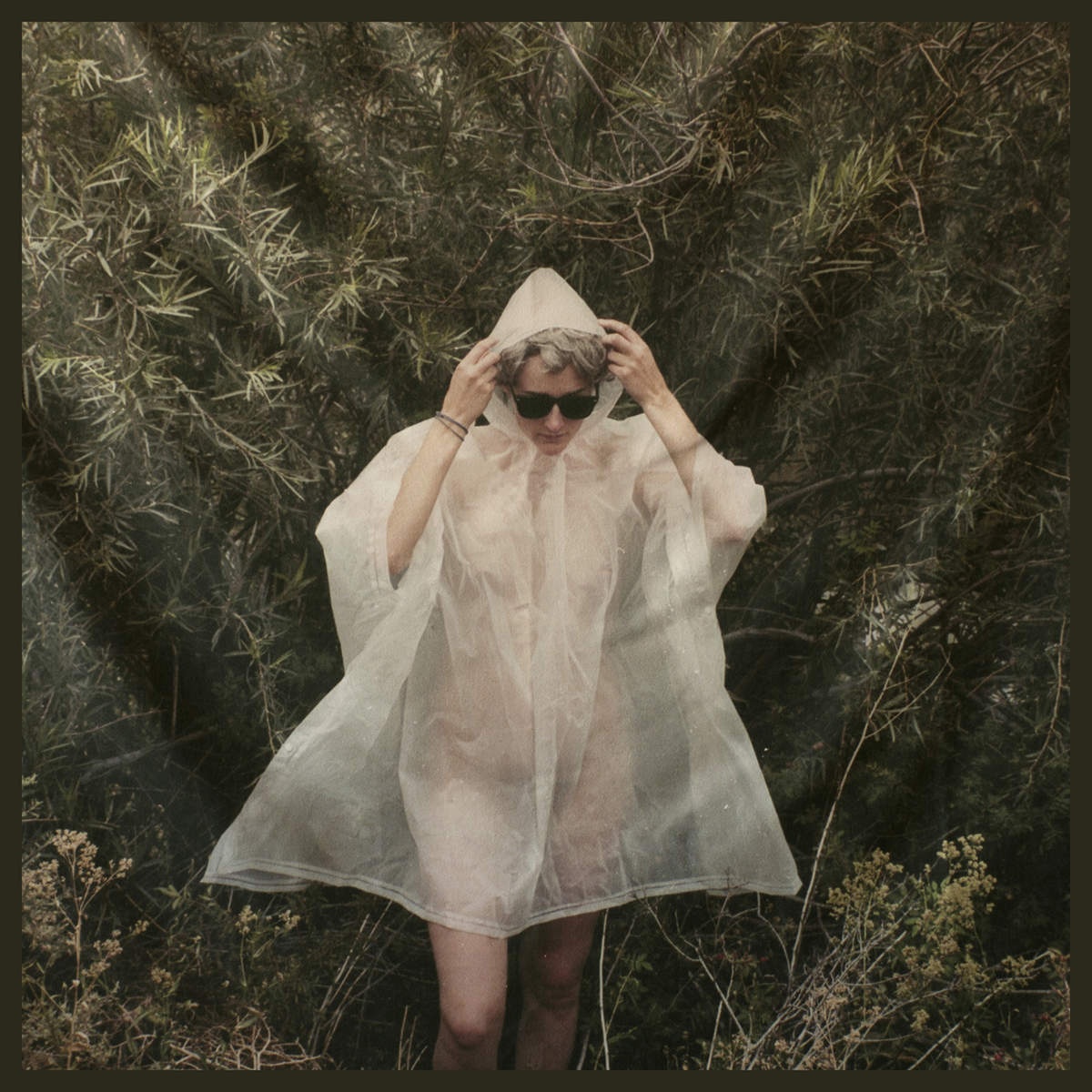 I Should Have Begged