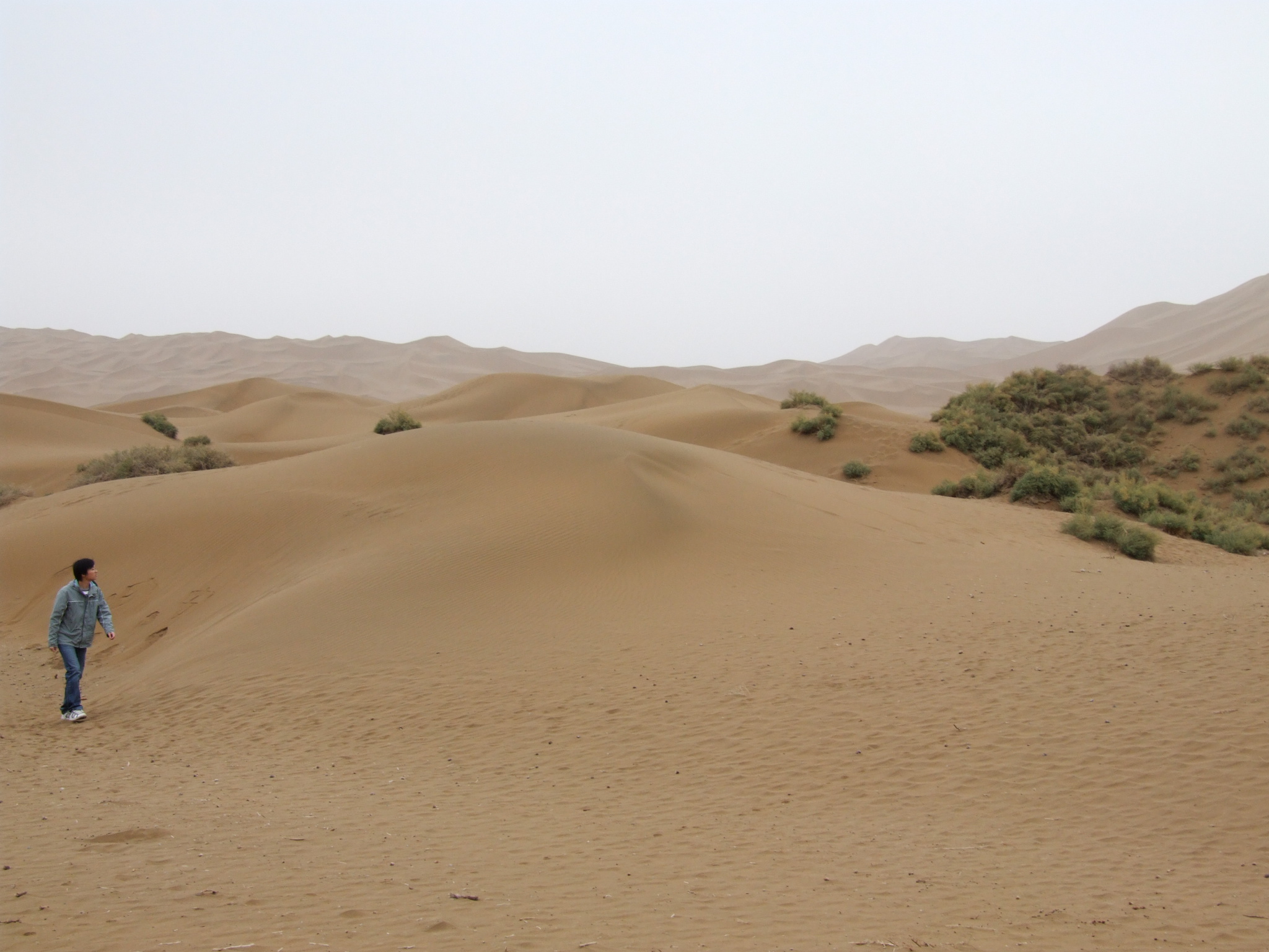 jian qiang de li you Cover jiao du yue dui