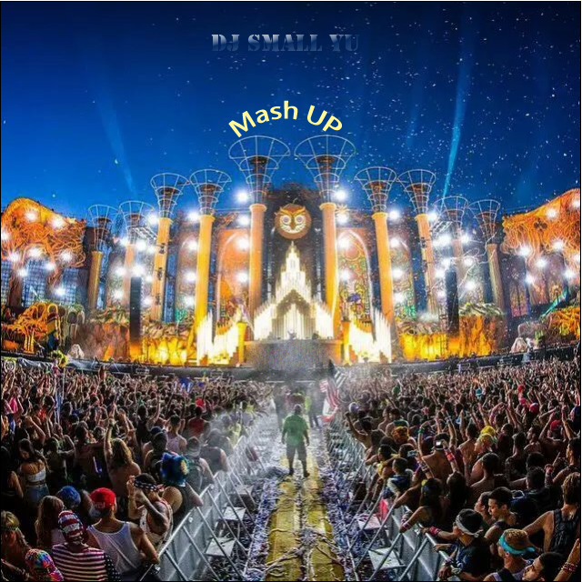 Fly Project  Musica Lil  Jon SmallYu Mashup