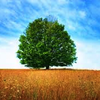 You're Pretty And I Like You