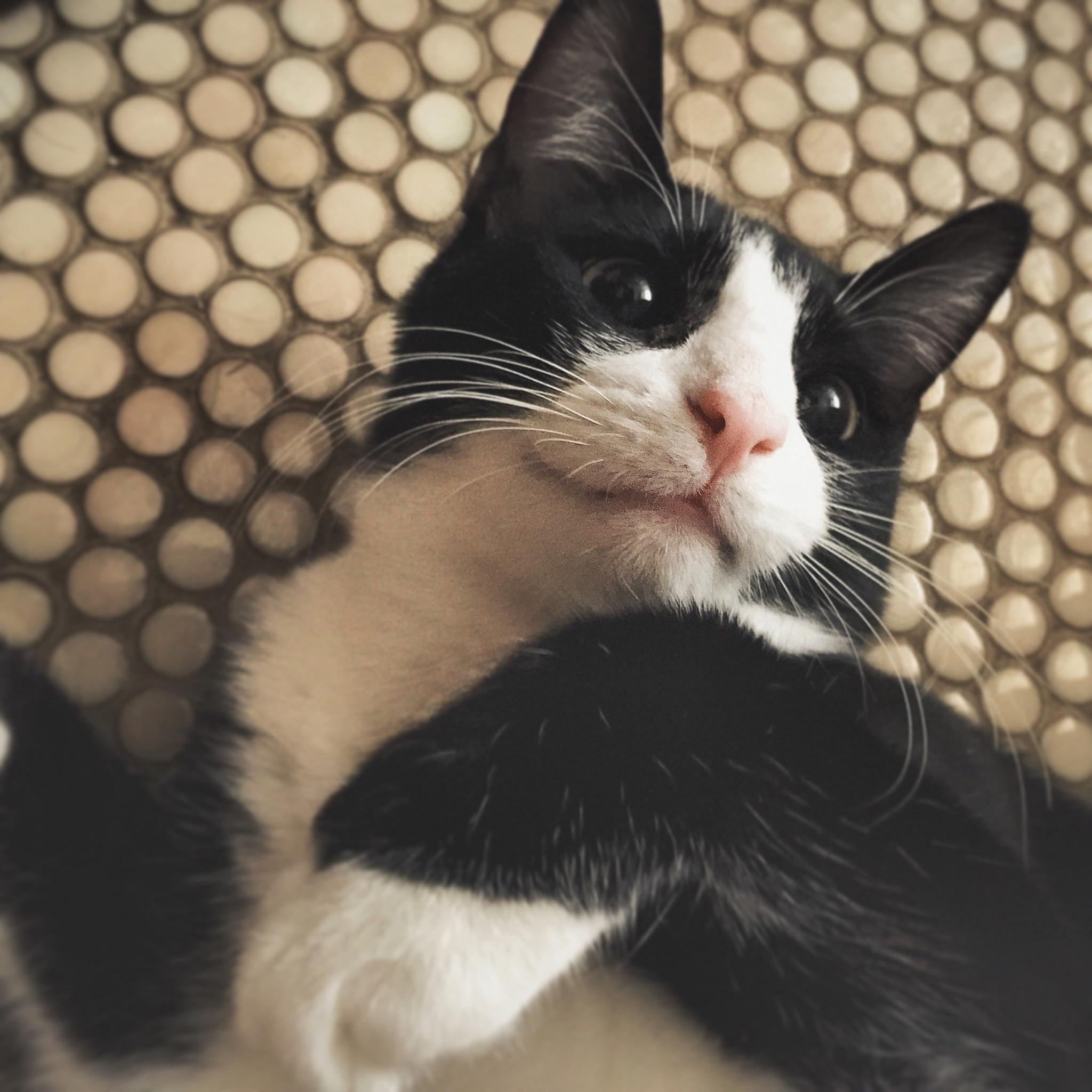 1m06_BP  end   Remix