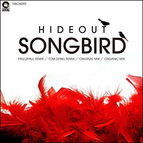 Songbird (Paul2Paul Remix)