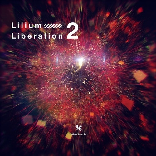 Lilium Liberation2