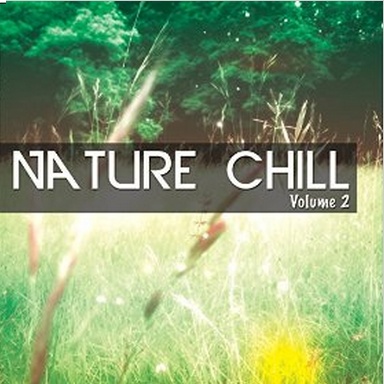 Nature Chill Vol 2 Relaxing Tunes Inspired by Nature