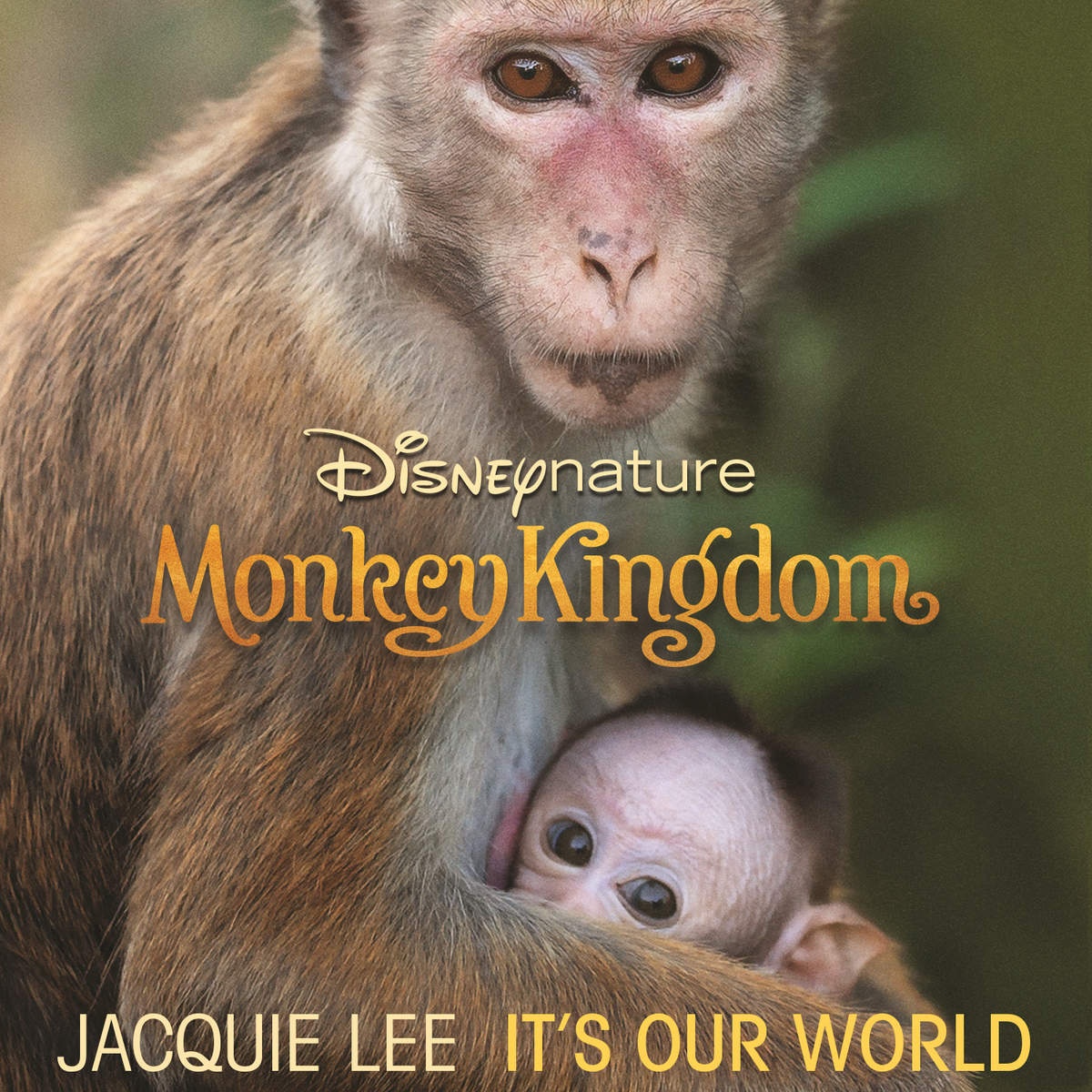 It's Our World (From "Disneynature: Monkey Kingdom")