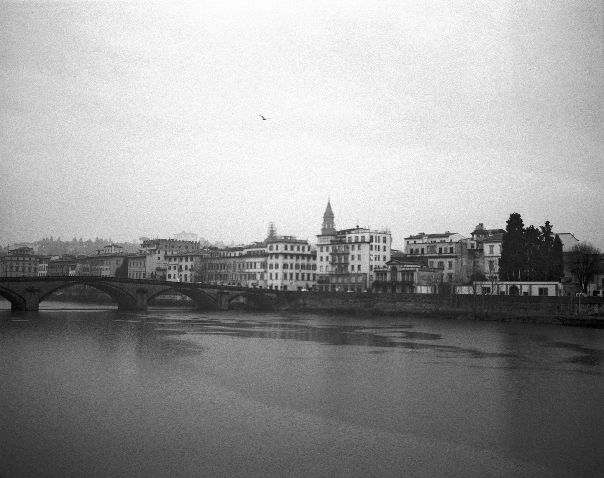 meng jing zhong de ni