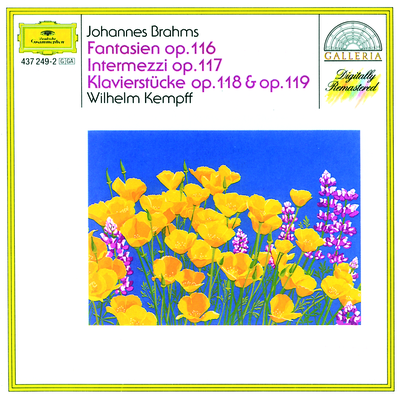 Johannes Brahms: Klavierstucke op.119 - No.2 Intermezzo. Andantino un poco agitato