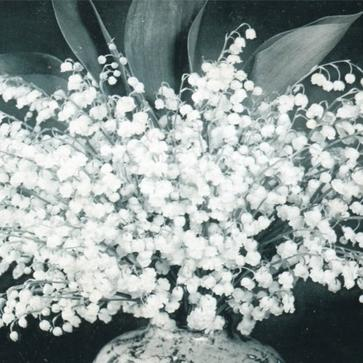 Reflection of your flowers