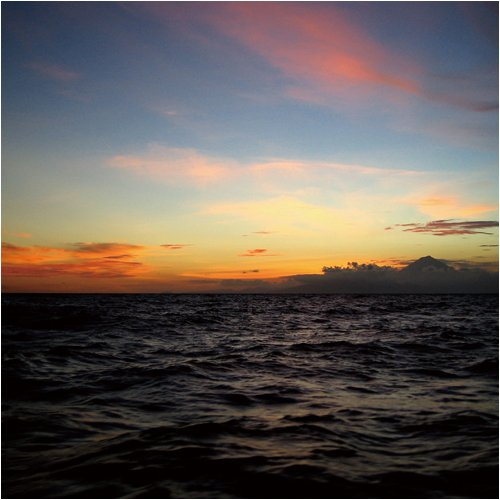 an old man with a stick