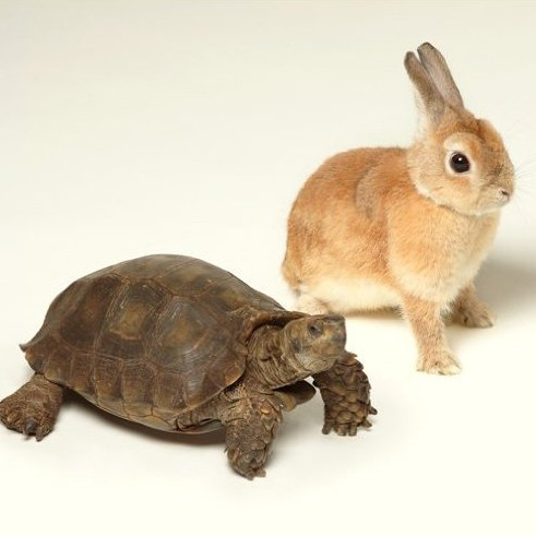 my rain -instrumental-