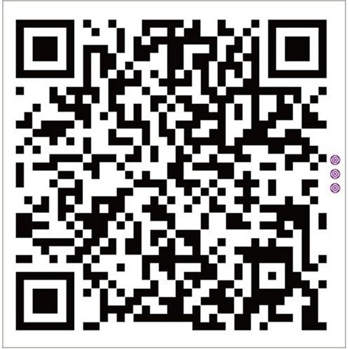 FUNK FUJIYAMA NOW duo shao wu li shi li qi hua