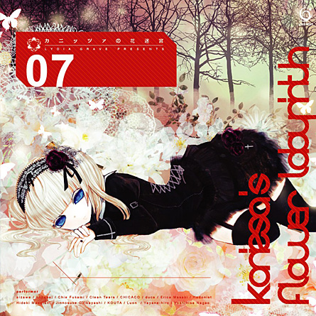 hu die tian guo Phal. tetraspis