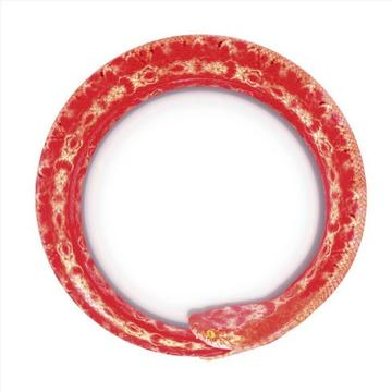 wan quan gan jue Dreamer