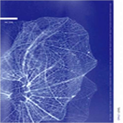 Opale 7 [a frozen moment]