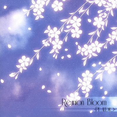 bi bu wu meng jian shao nv