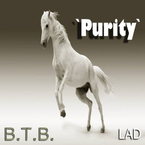 Purity (Original Mix)