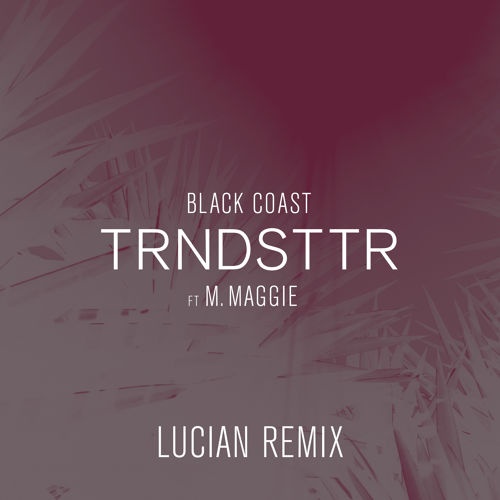 TRNDSTTR (Lucian Remix) 