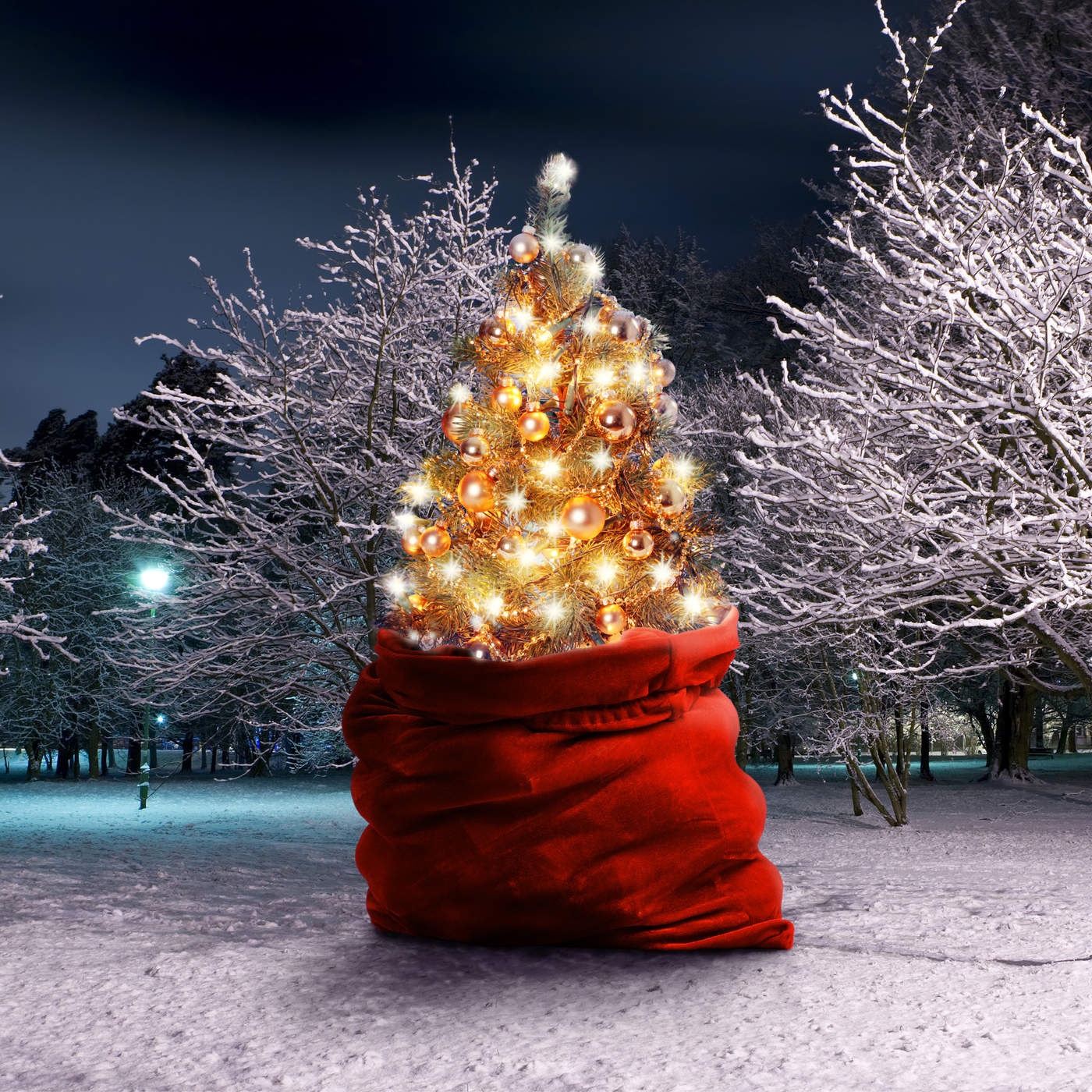 Xmas Present For My Sweetheart