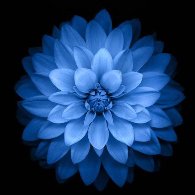 Muhabbat u nima ru he ai