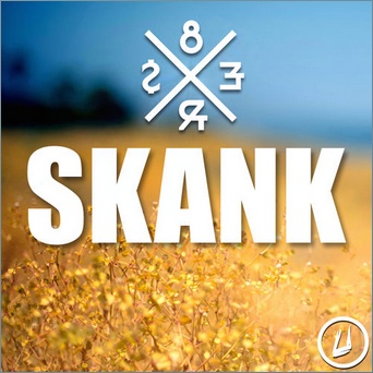 Skank (Original Mix)