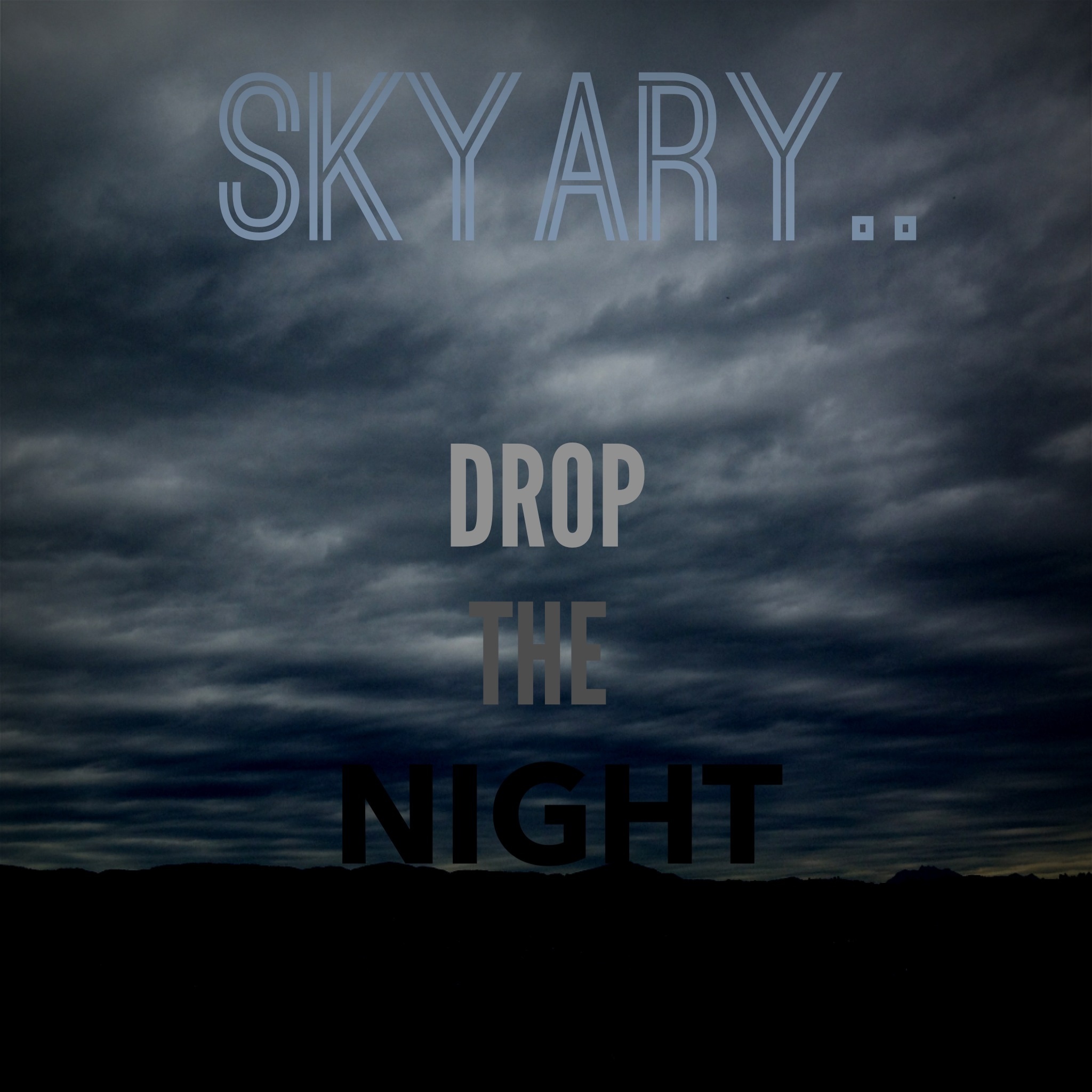 Drop The Night