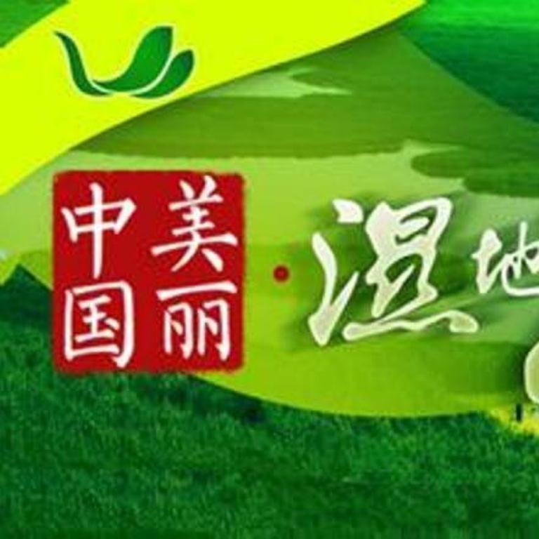 shi di No. 2 wan zheng ban