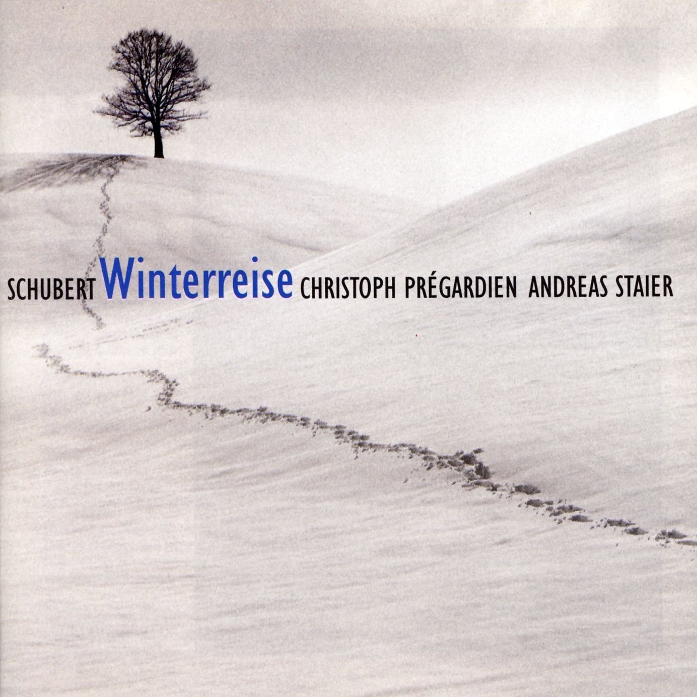 Schubert - Winterreise