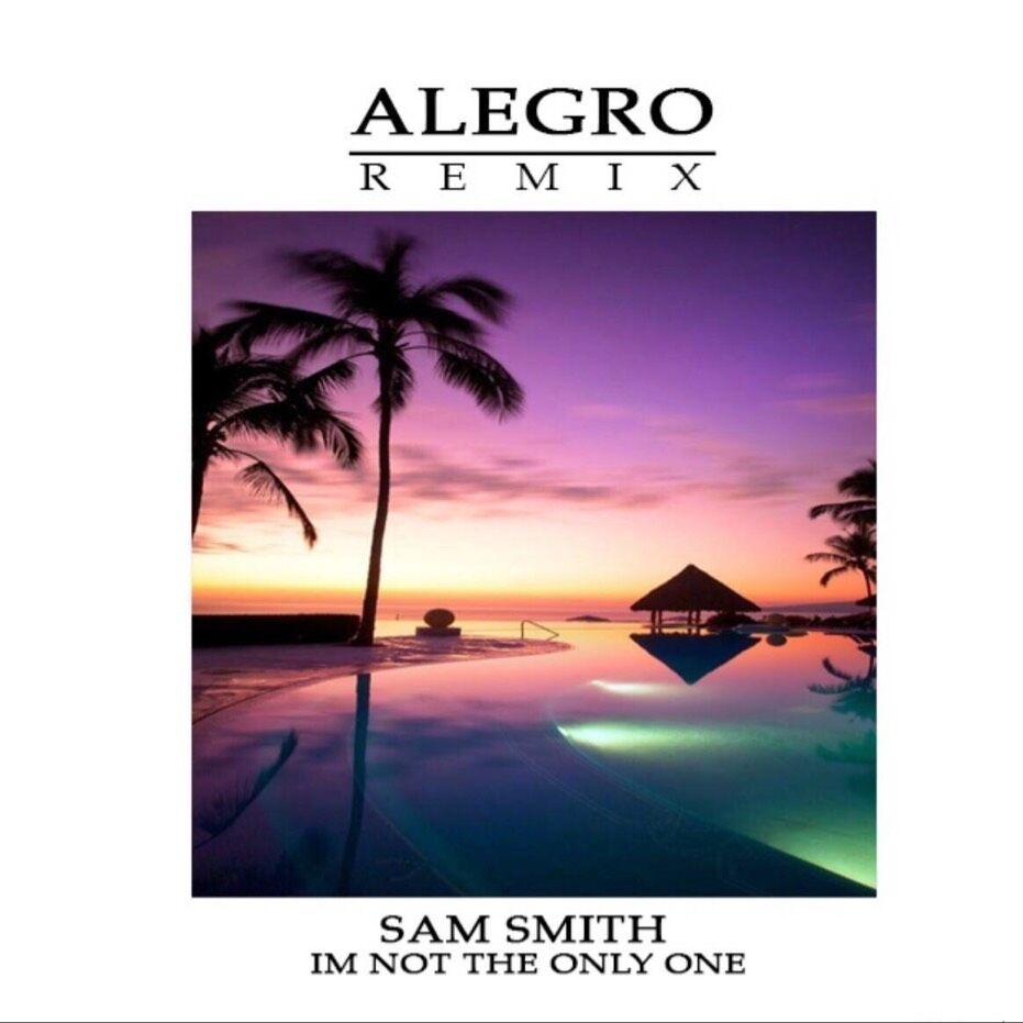 i'm not the only one (Alegro Remix)
