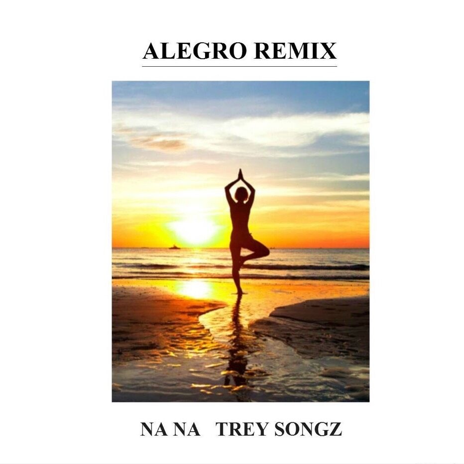 Na Na (Alegro Remix)