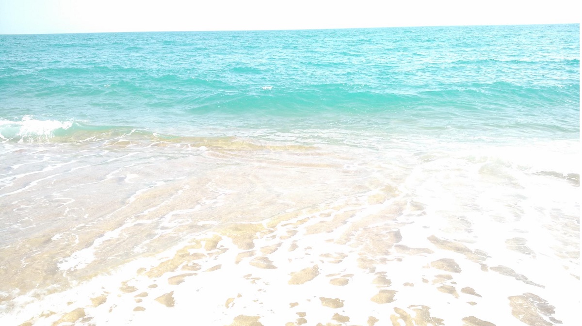 Cutie Pie (Prod By.Evans Rhyme)