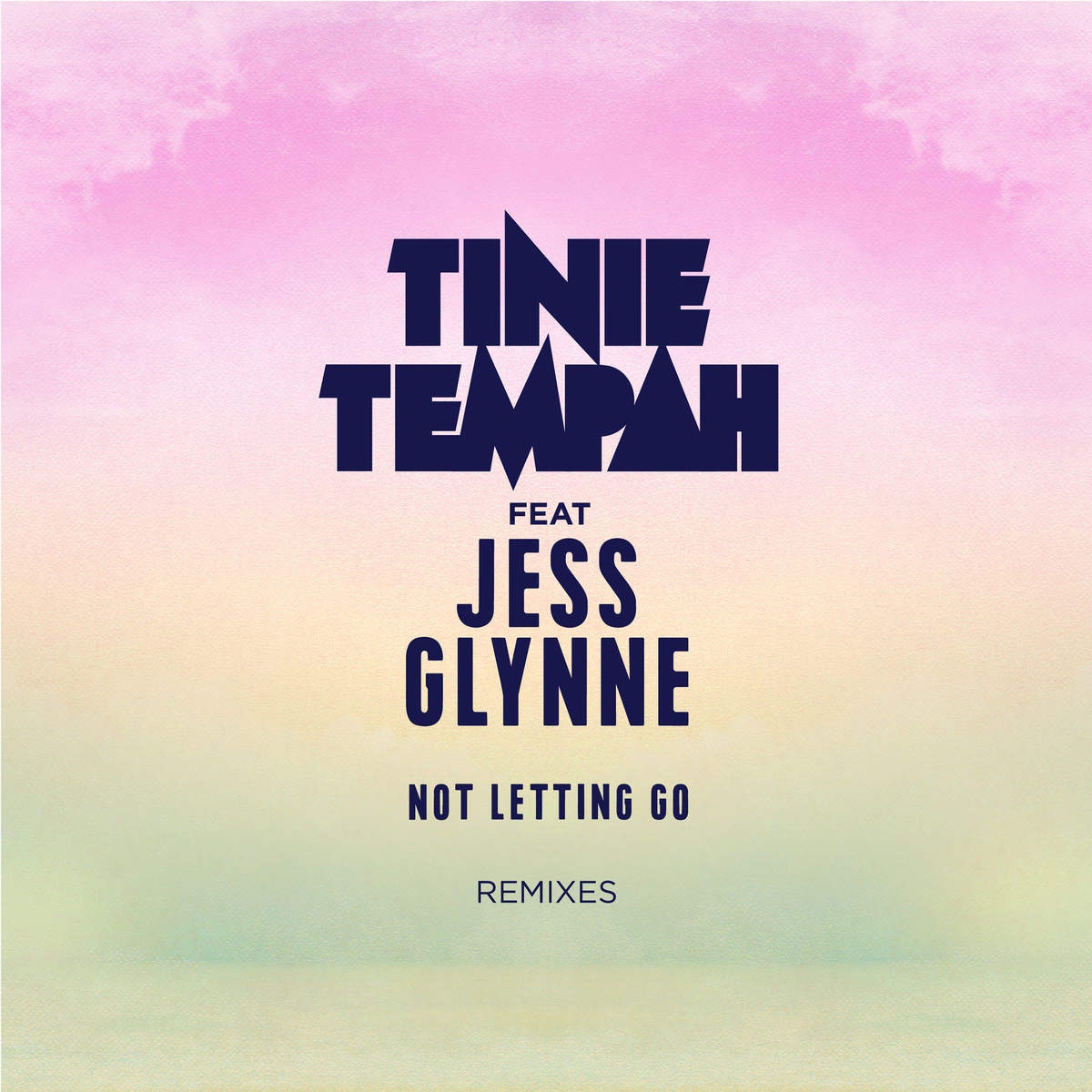 Not Letting Go (feat. Jess Glynne) [Troyboi Remix]