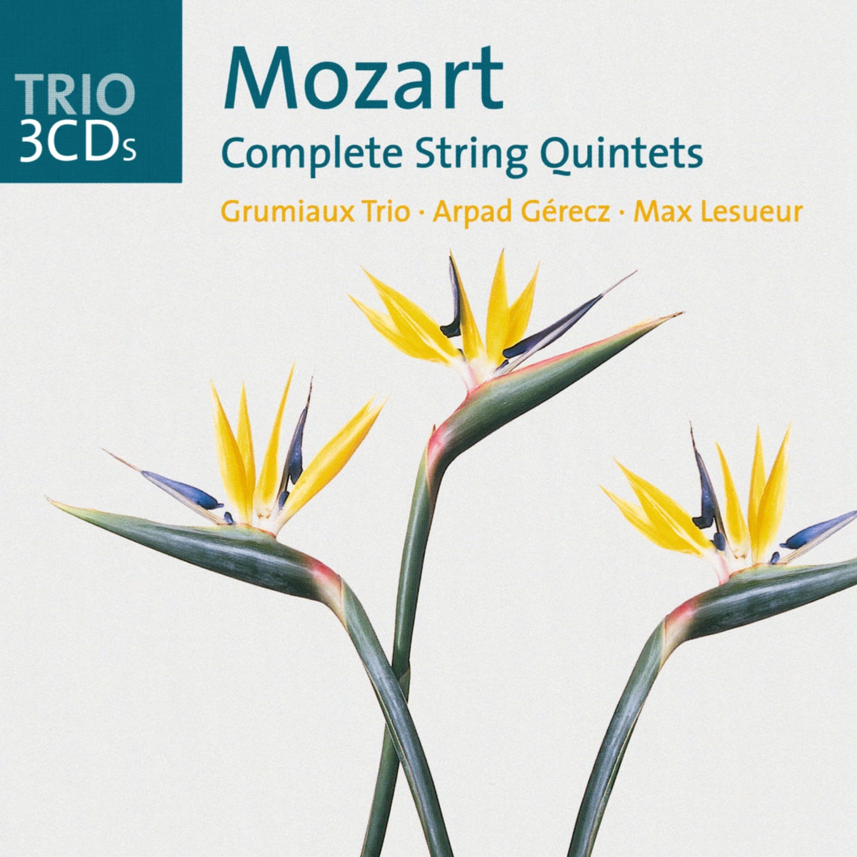 String Quintet No. 4 in C Minor, K. 406: IV. Allegro