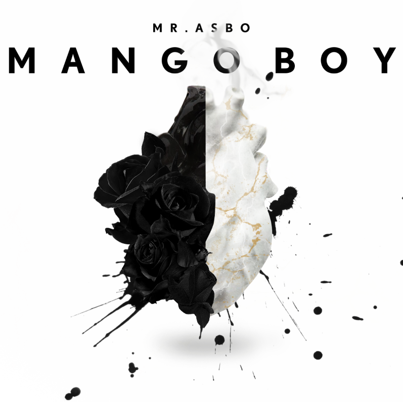 Mango  Boy 