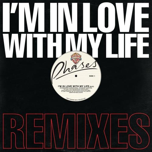 I' m In Love With My Life Mystery Skulls Remix