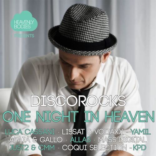 One Night in Heaven, Vol. 9 - Mixed & Compiled by DiscoRocks