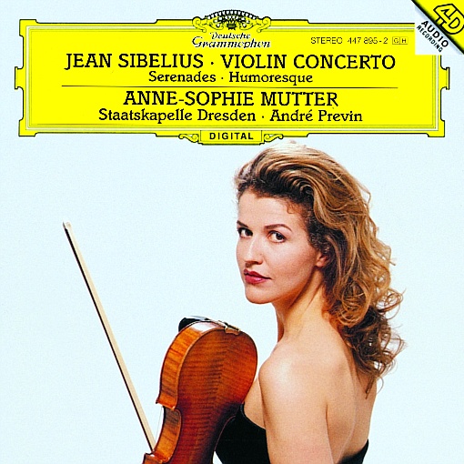 Violin Concerto In D Minor, Op.47:1. Allegro moderato