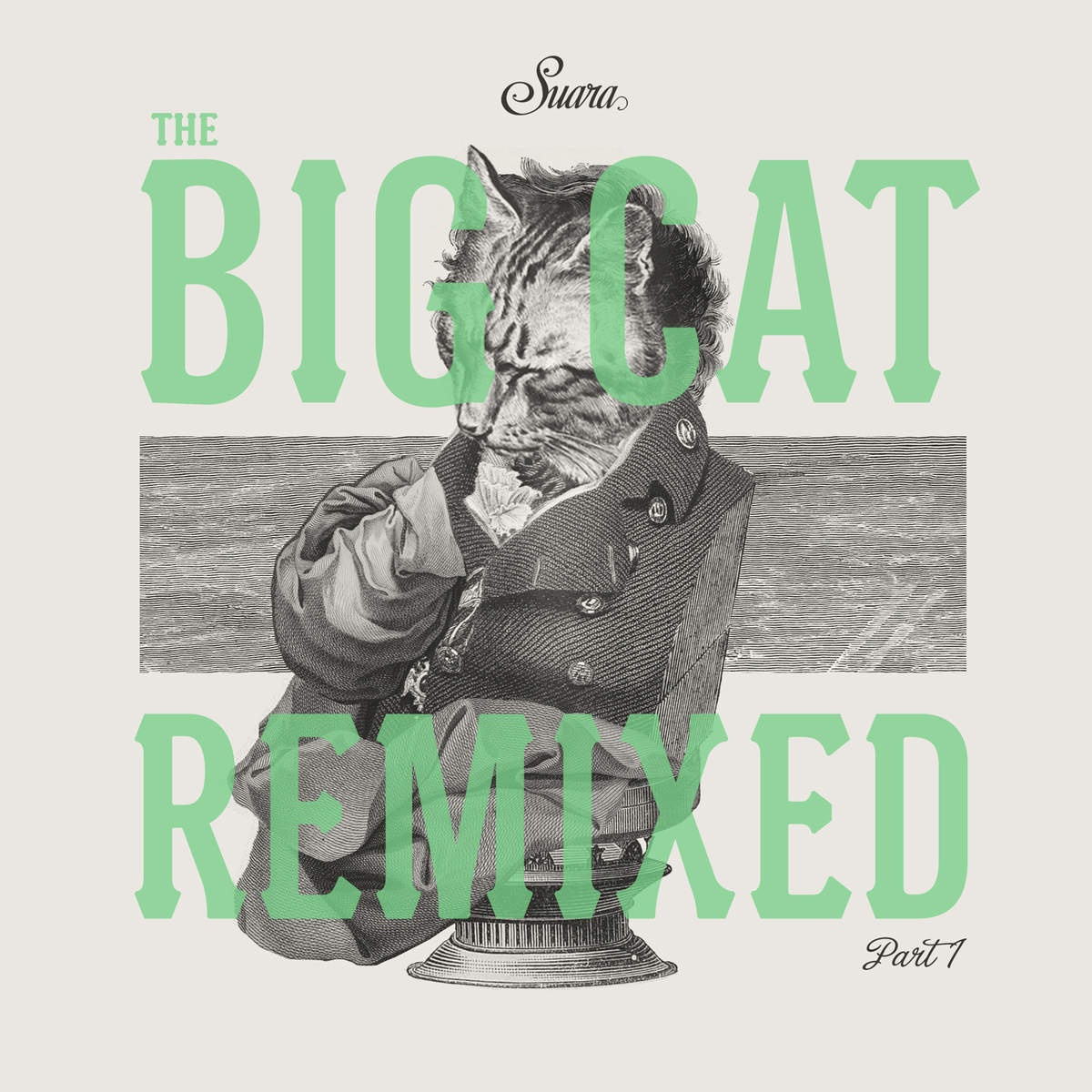 The Big Cat (Remix), Pt. 1