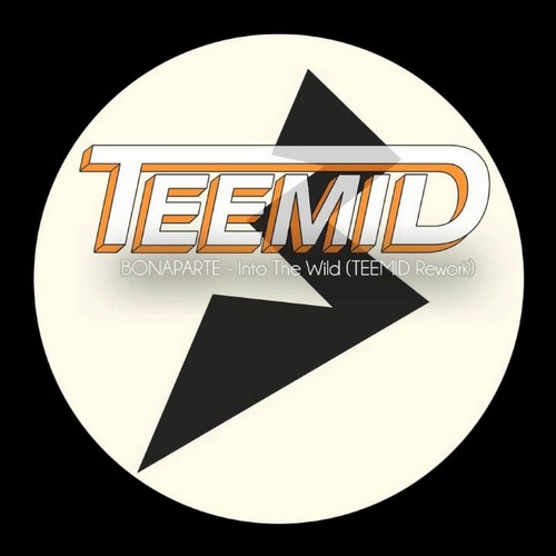 Into The Wild (TEEMID Remix) 