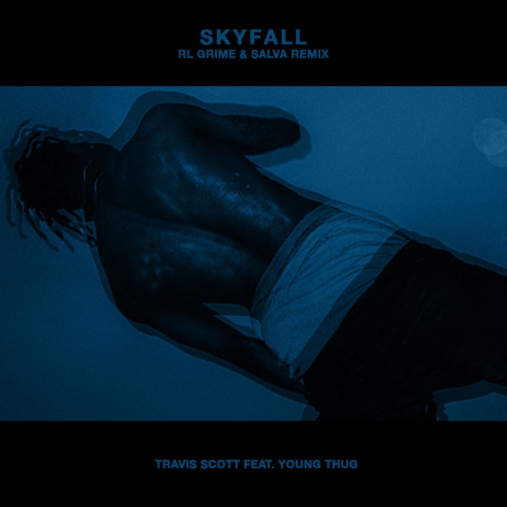 Skyfall (RL Grime & Salva Remix)
