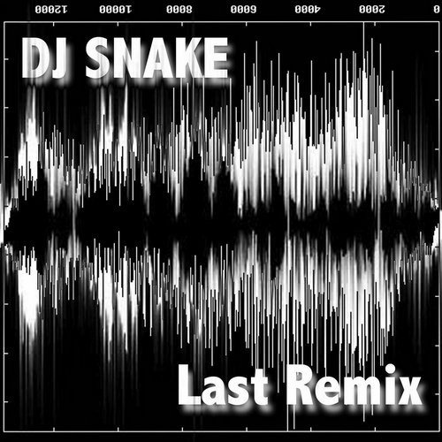 Snake's Last Remix (Original Mix)