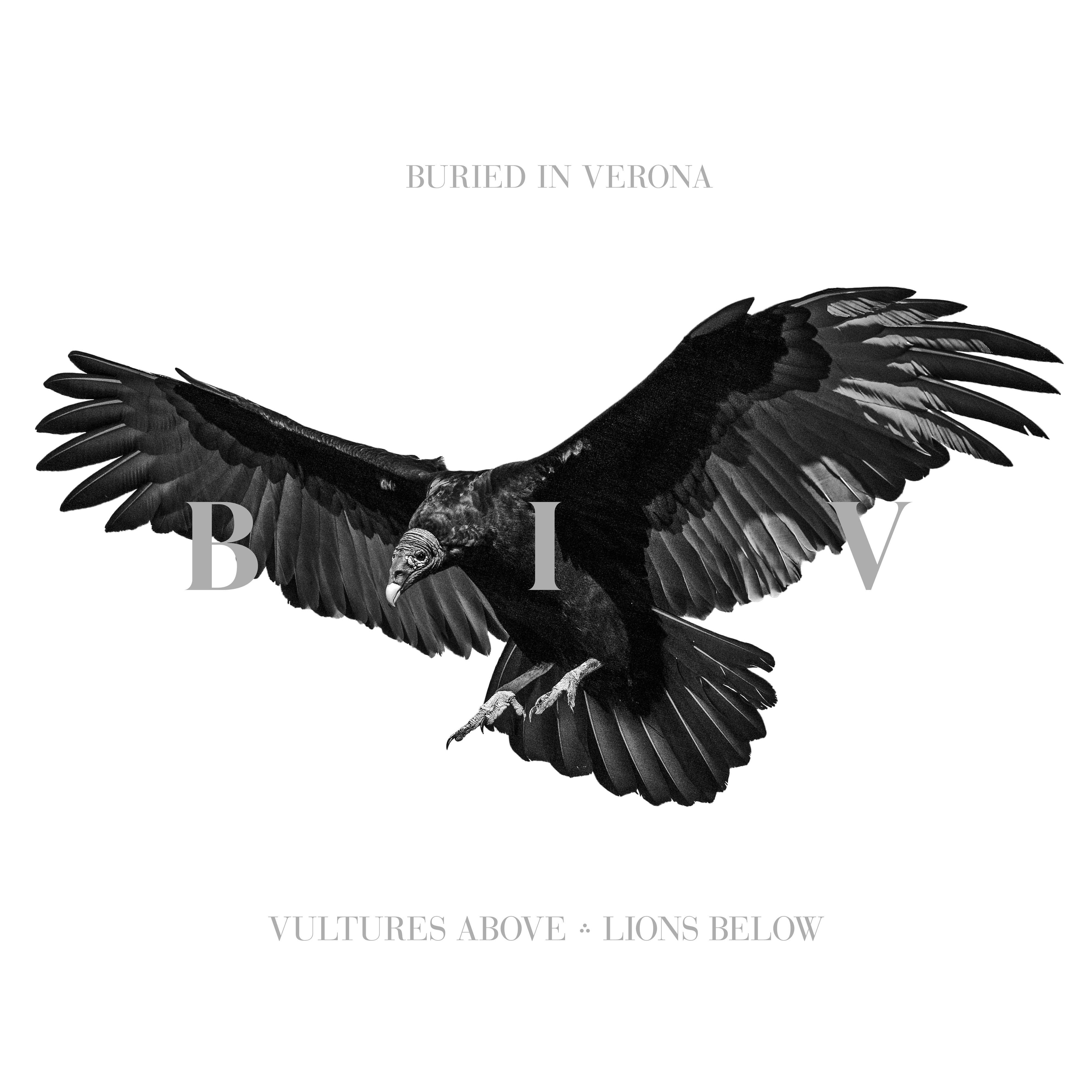 Vultures Above